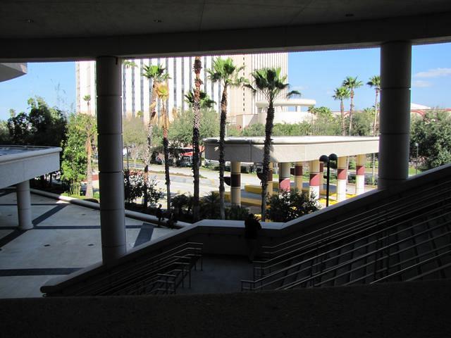 IMG 0187