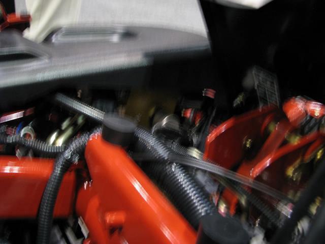 IMG 0554